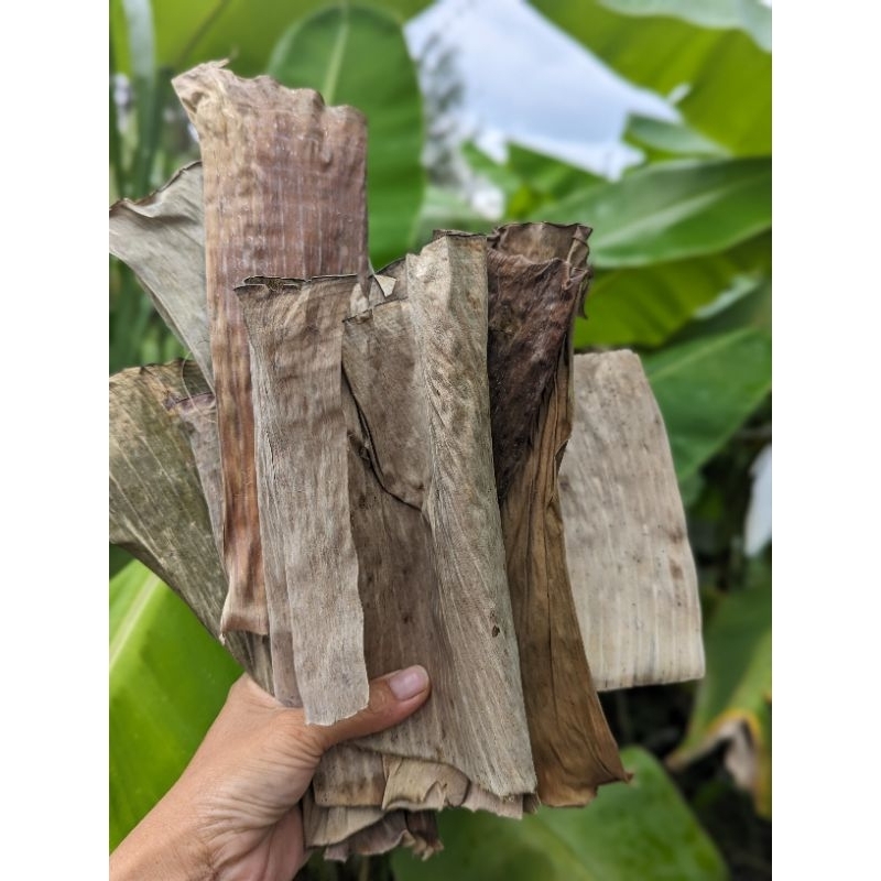 1kg Lá chuối Khô-vụn(dùng lót ổ gà, hoặc làm nấm rơm, ủ cây..) | Shopee ...