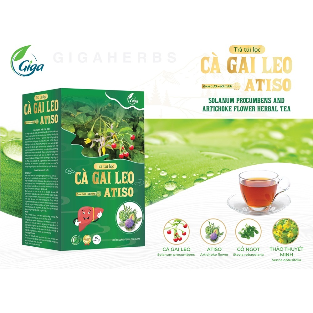 Trà túi lọc Cà Gai Leo, trà cà gai leo Atiso GiGa - giúp mát gan,lợi tiểu ( hộp 90 túi lọc )