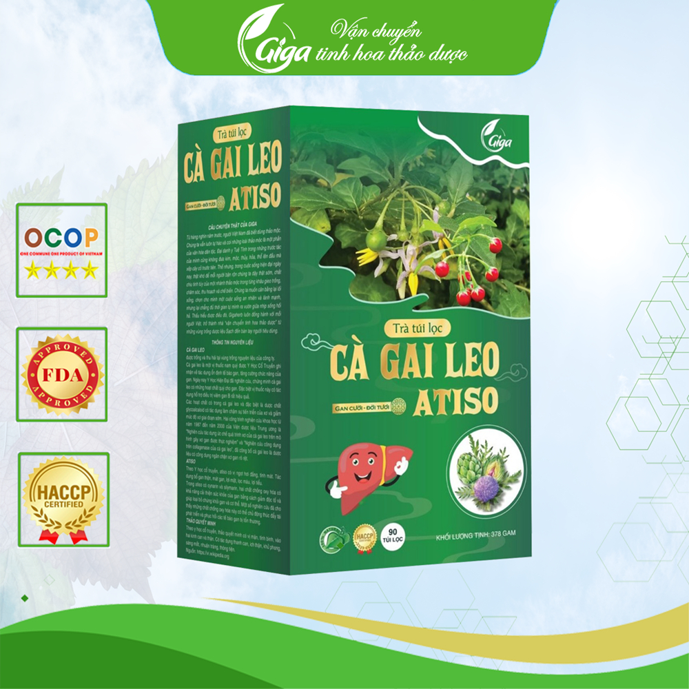 Trà túi lọc Cà Gai Leo, trà cà gai leo Atiso GiGa - giúp mát gan,lợi tiểu ( hộp 90 túi lọc )