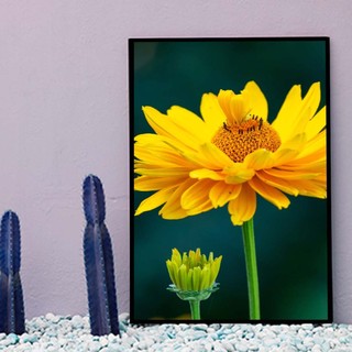 Bộ 6 tranh treo tường Hoa Hướng Dương B01