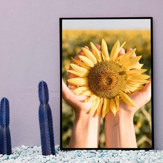 Bộ 6 tranh treo tường Hoa Hướng Dương B01