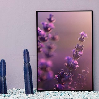 Bộ 6 tranh treo tường Hoa Oải Hương B04