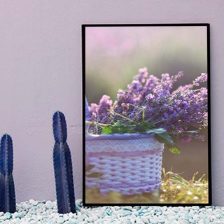 Bộ 6 tranh treo tường Hoa Oải Hương B04
