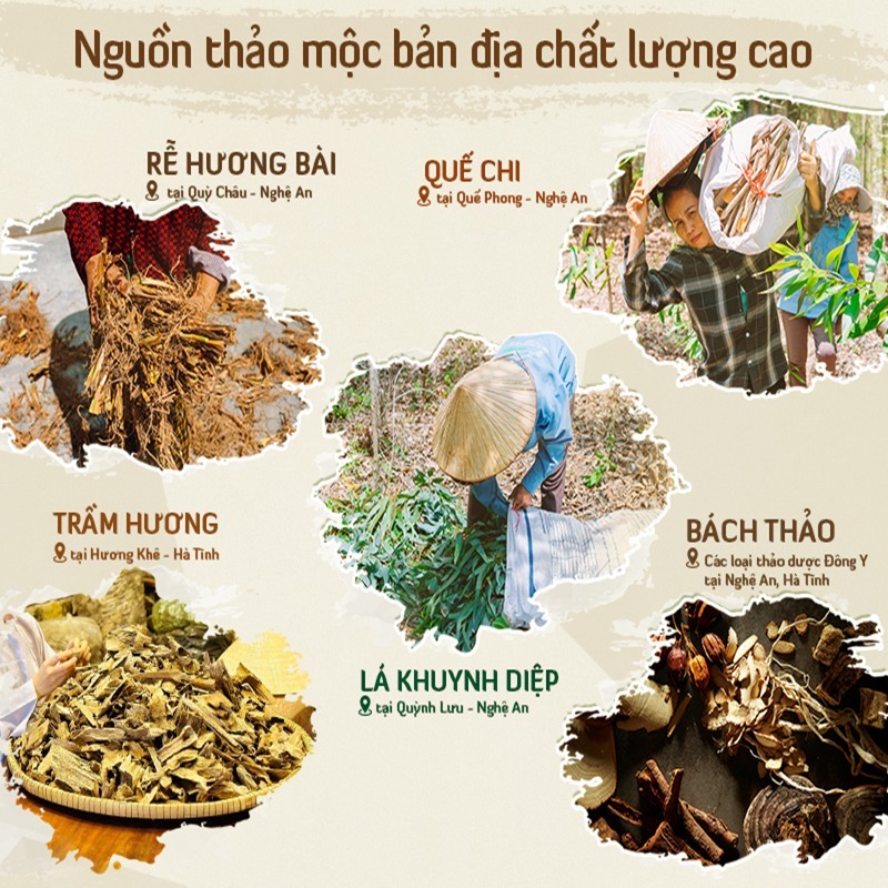 Ảnh Nhang nụ khói ngược AN AN 39 nụ- nụ trầm hương, khuynh diệp, quế, bách thảo, hương bài, nhang thơm tự nhiên xông nhà 4