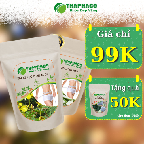 [COMBO TRÀ GIẢM CÂN TIẾT KIỆM] 1 túi trà vỏ bưởi + 1 túi trà phan tả diệp - Giá Chỉ 99k