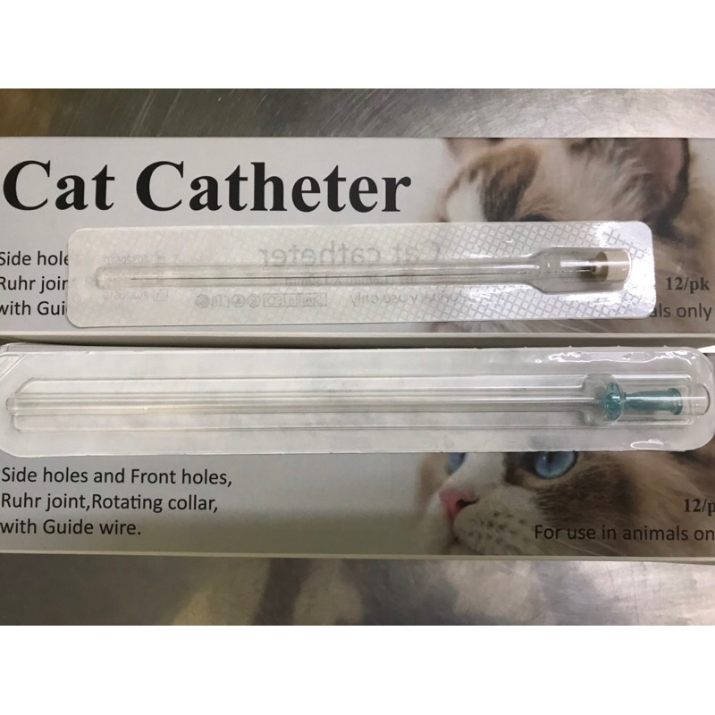 Ống thông tiểu cho mèo Cat Catheter , 1 ống