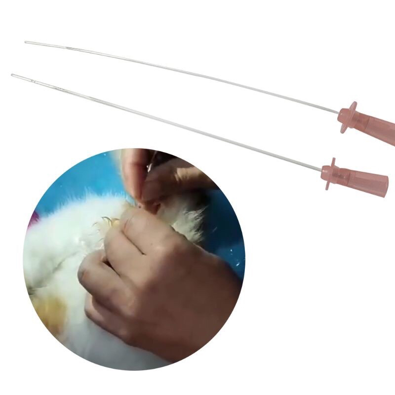 Ống thông tiểu cho mèo Cat Catheter , 1 ống