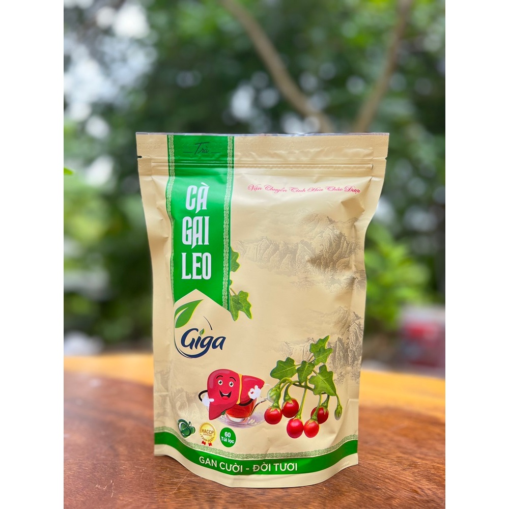 Trà Cà Gai Leo Giga 1KG - 240 Túi Lọc Giúp Bổ Gan, Giải Độc Gan, Hỗ Trợ Chống Viêm Gan, Xơ Gan