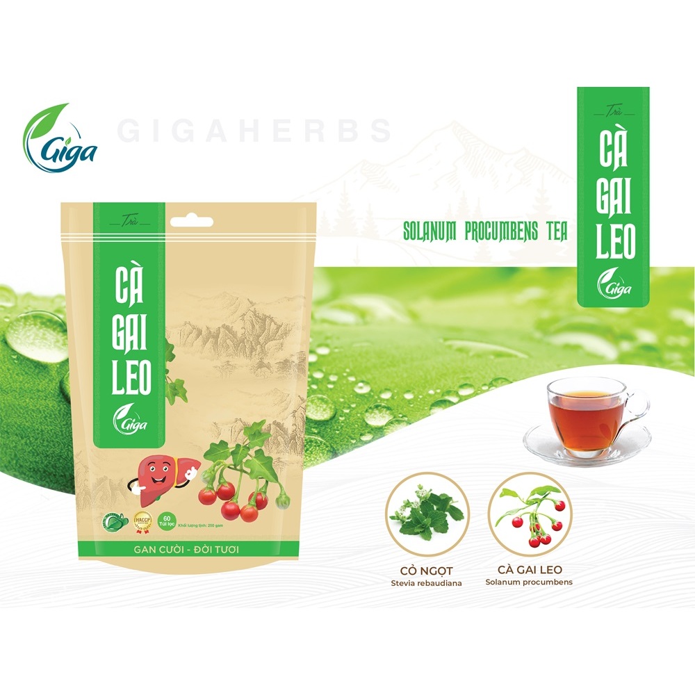 Trà Cà Gai Leo Giga 1KG - 240 Túi Lọc Giúp Bổ Gan, Giải Độc Gan, Hỗ Trợ Chống Viêm Gan, Xơ Gan