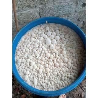Phụ gia dinh dưỡng gốc bột Bio Phương Nam (Dùng ủ men vi sinh)