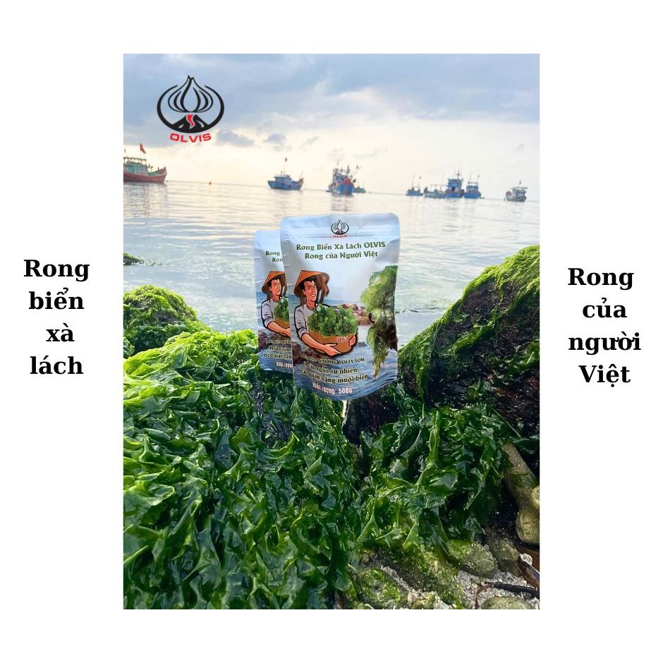 RONG XÀ LÁCH LÝ SƠN SẤY LẠNH OLVIS 100gr/500gr - RONG BIỂN LÝ SƠN CHÍNH ...