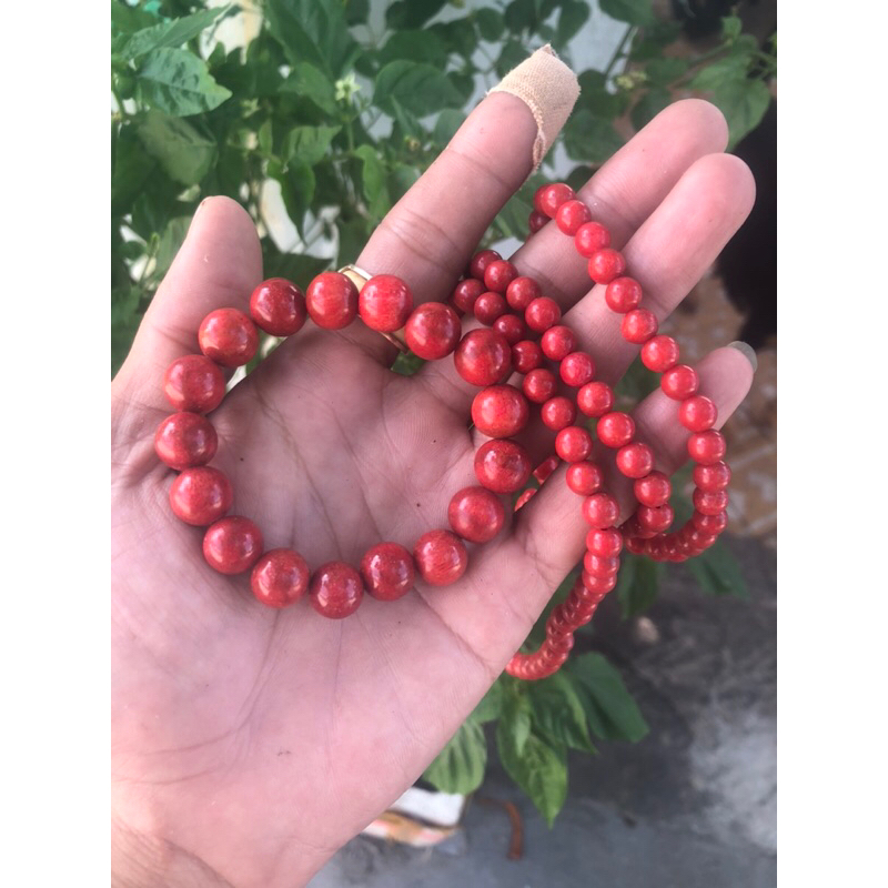 vòng tay san hô đỏ 10ly