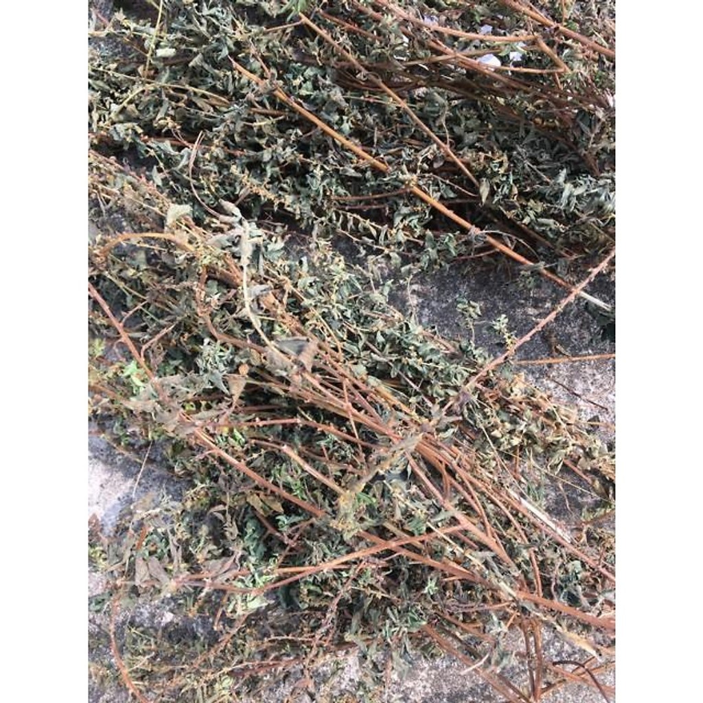 Cây Bọ Mắm khô thượng hạng Jindo gói 1kg hỗ trợ giảm đau sưng mũi, ho, đau họng