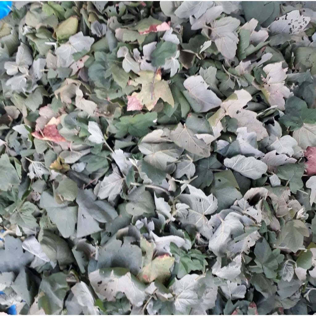 Cây Mâm Xôi khô chính hãng Jindo 1kg hỗ trợ ngừa sỏi thận, tốt cho sức khỏe.