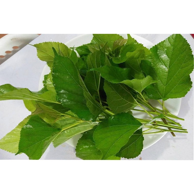 Tang Diệp (Lá cây Dâu) khô thượng hạng 1kg chính hãng Jindo tác dụng tốt cho sức khỏe
