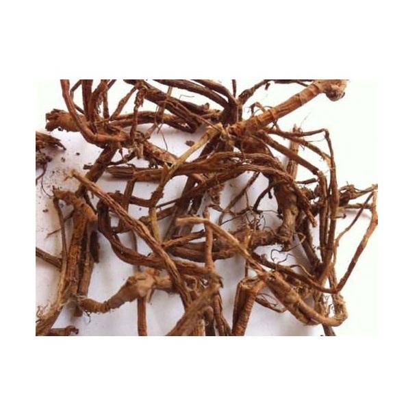 Rễ cây Dâu Tằm khô (tang bạch bì) 1kg chính hãng Jindo tốt cho sức khoẻ