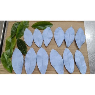 Gân silicon lá mai như thật(dài 15_16_17cm)