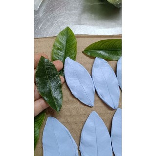 Gân silicon lá mai như thật(dài 15_16_17cm)