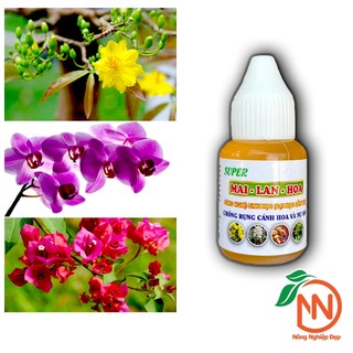 Chống Rụng Bông Chai 10ml - Super Mai Lan Hoa - Chống Rụng Cánh Hoa Đại Học Cần Thơ