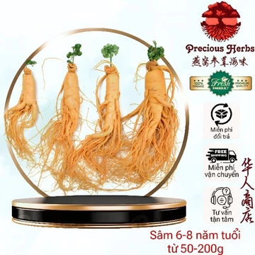Nhân sâm tươi núi TRƯỜNG BẠCH dùng cho hầm canh gà ngâm rượu bồi bổ sức khoẻ size từ 50g đến 150g sỉ lẻ
