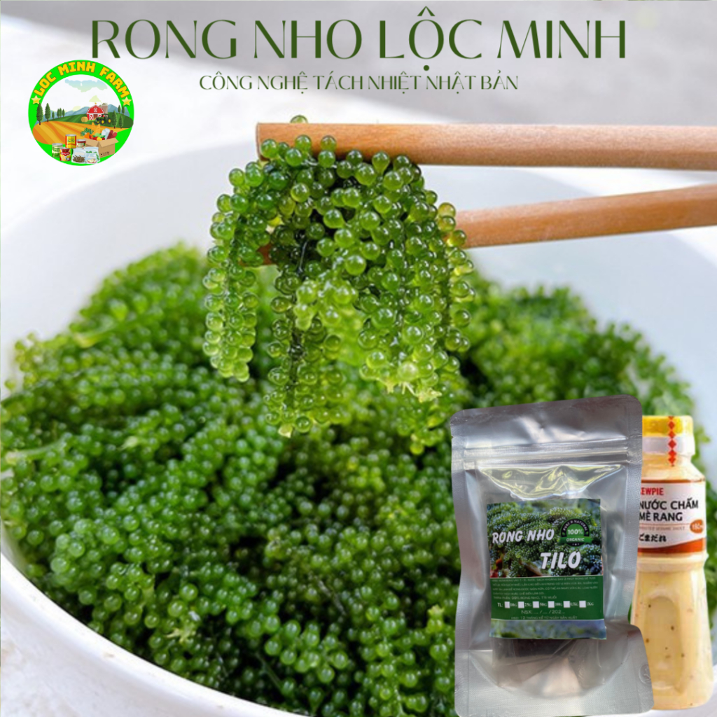 [500gr Rong nho tách nước 5 gói 100gr chuẩn loại 1] rong nho tách nước ...