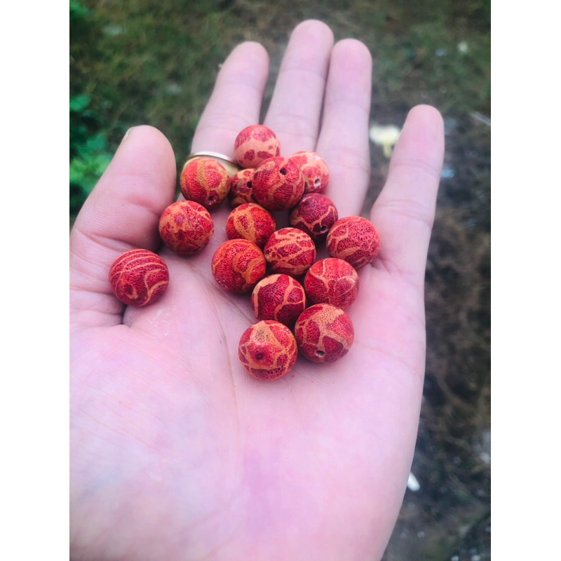 hạt san hô đỏ mộc mix vòng đủ size