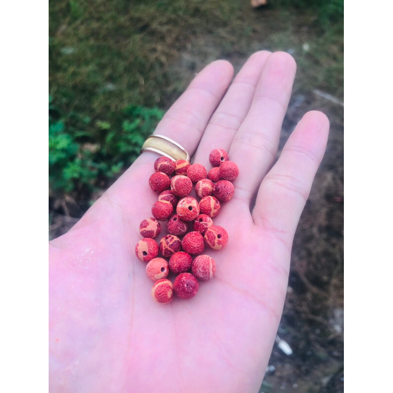 hạt san hô đỏ mộc mix vòng đủ size