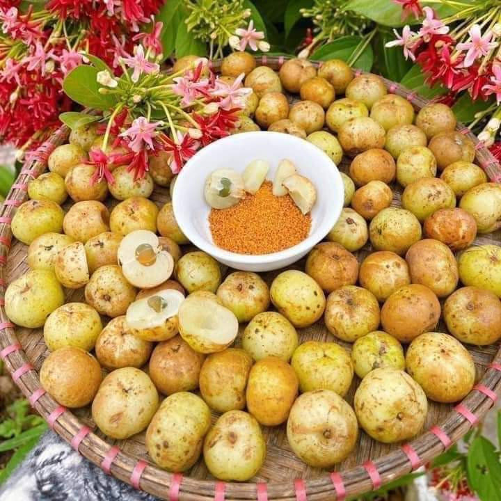Quả me rừng, quả mắc kham (chua)+ kèm muối chấm - Ship hoả tốc Hà Nội ...