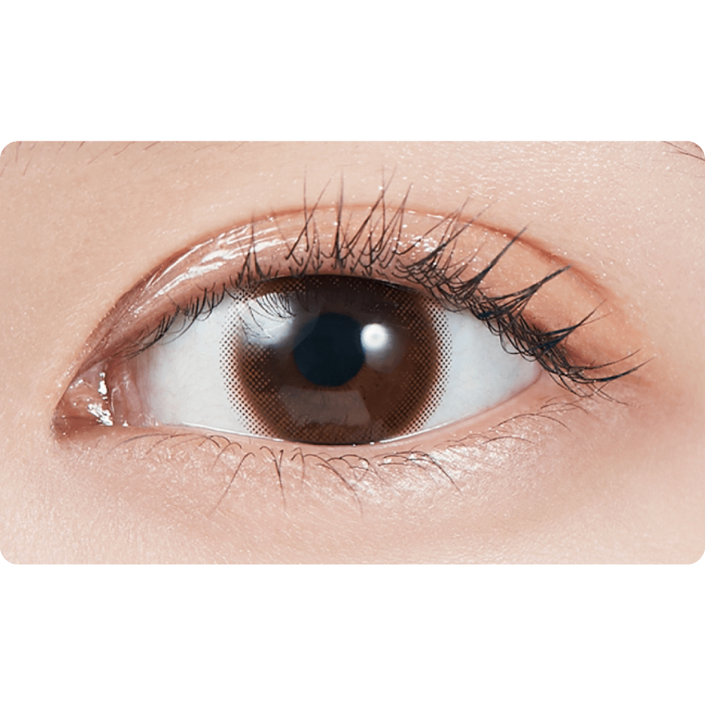 Lens cận 1 ngày  TINT BROWN 24H sử dụng Nhật Bản gamilens