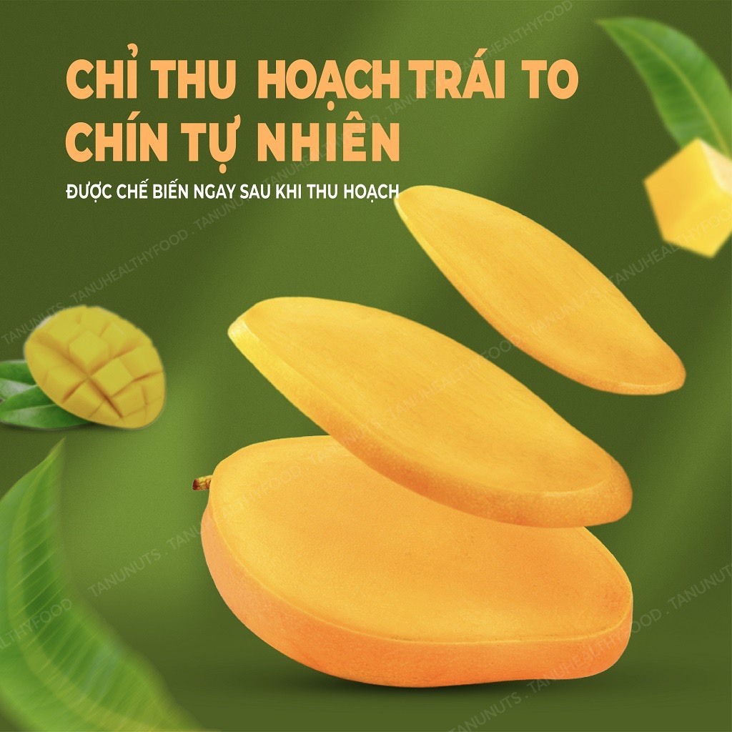 Xoài sấy dẻo Nông Lâm Food túi 50g
