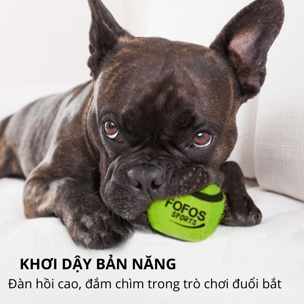 Đồ Chơi Cho Chó Combo 2 Bóng Tenis Gặm Và Huấn Luyện FOFOS