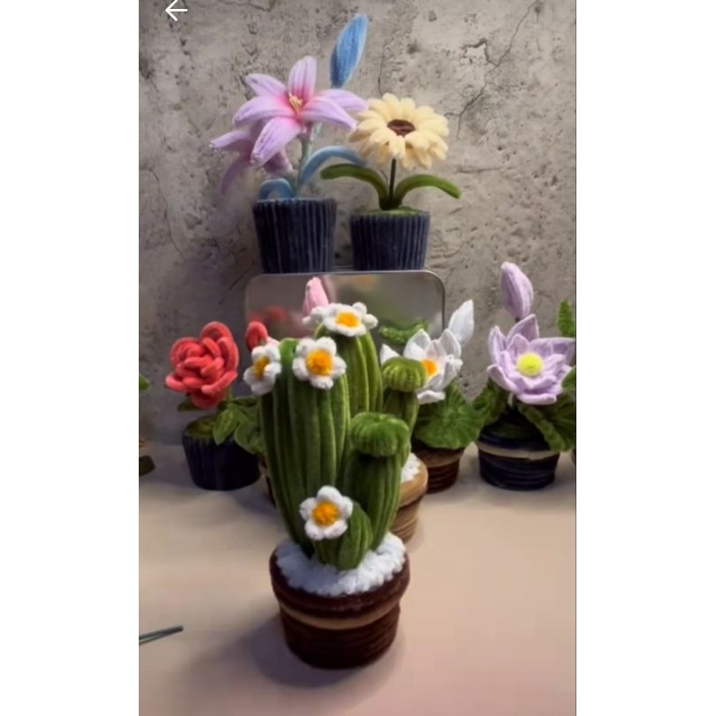 Chậu Xương Rồng Kẽm Nhung Mini Decor, Quà Tặng Siêu Xinh