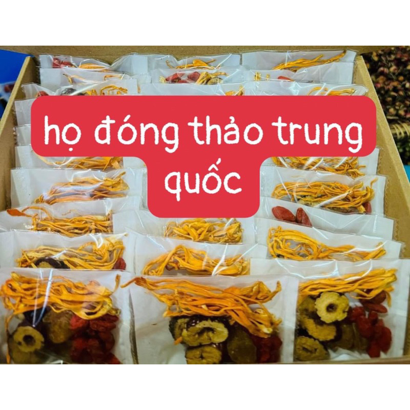 Trà Đông Trùng Tứ Vị(Kỷ Tử, Táo Đỏ,Long Nhãn..) Túi 20 gói