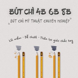 Hộp 12 Bút chì 2B/4B/6B/8B Bitex mỹ thuật chuyên dụng