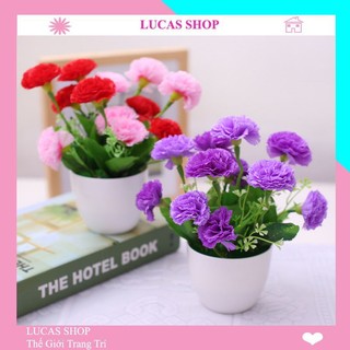 Hoa giả - Cụm hoa phăng (cẩm chướng) cao cấp 40cm 10 nhánh trang trí nhà cửa, cửa tiệm,...