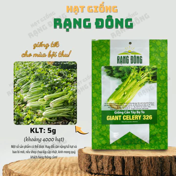 Hạt giống Cần Tây Bẹ To Giant Celery 326 (2g~1000 hạt) ép nước, dễ chăm, sinh trưởng khỏe - Hạt giống Rạng Đông | F25