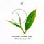 COMBO 5 | ĐẾ VƯƠNG THƯỞNG TRÀ – TRÀ SHAN TUYẾT CỔ THỤ CAO CẤP (PHIÊN BẢN GIỚI HẠN)