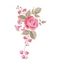 Hình ủi, Hình Ép Nhiệt TẾT - MÙA XUÂN 14