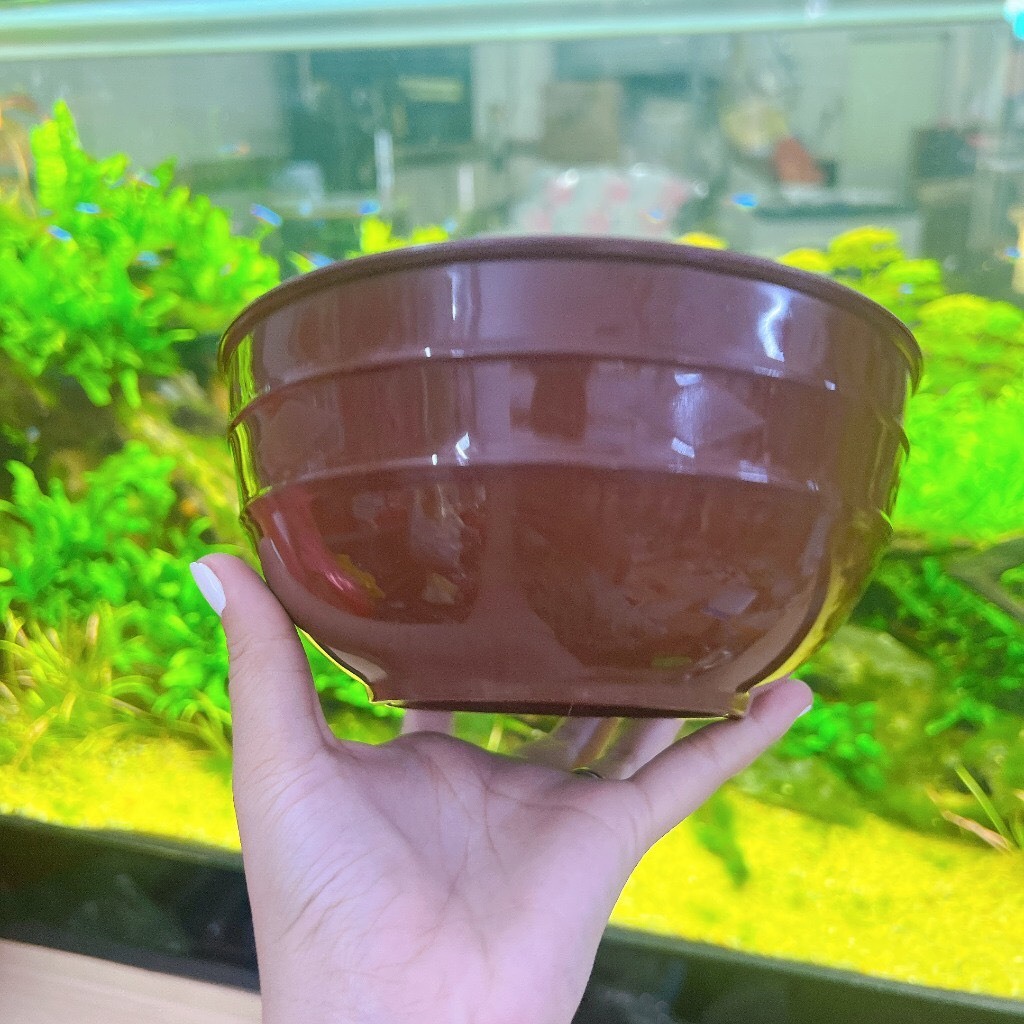 combo5 Tô nhựa BKP đựng trái cây tô - bún thịt nướng - sử dụng cho hàng quán - tô nhựa BKP T03 NHIỀU MÀU