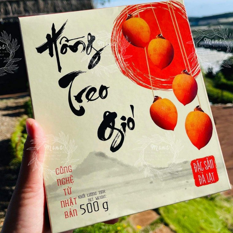 Hồng Treo Gió Đà Lạt (Đặc Sản Cao Cấp Từ Đà Lạt) - Túi 500gr HCK ...