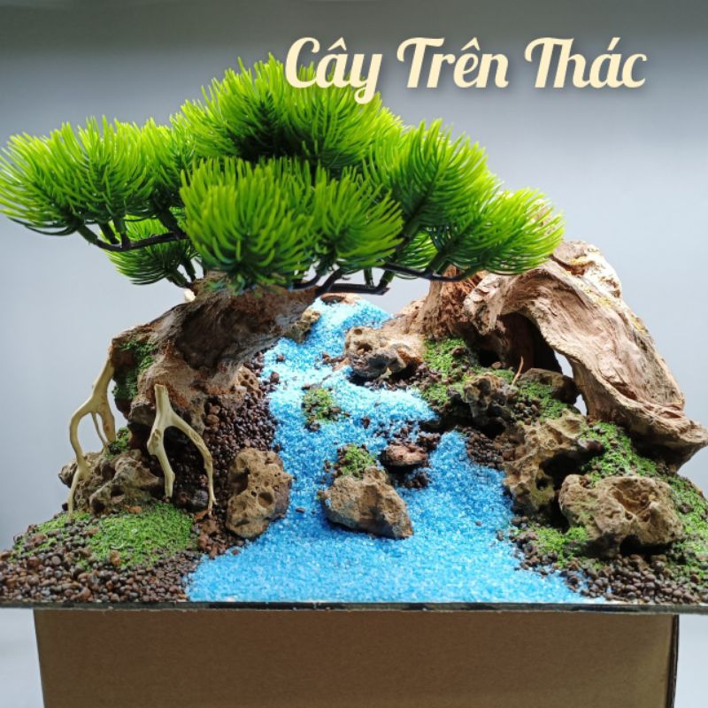 Mẫu Layout 