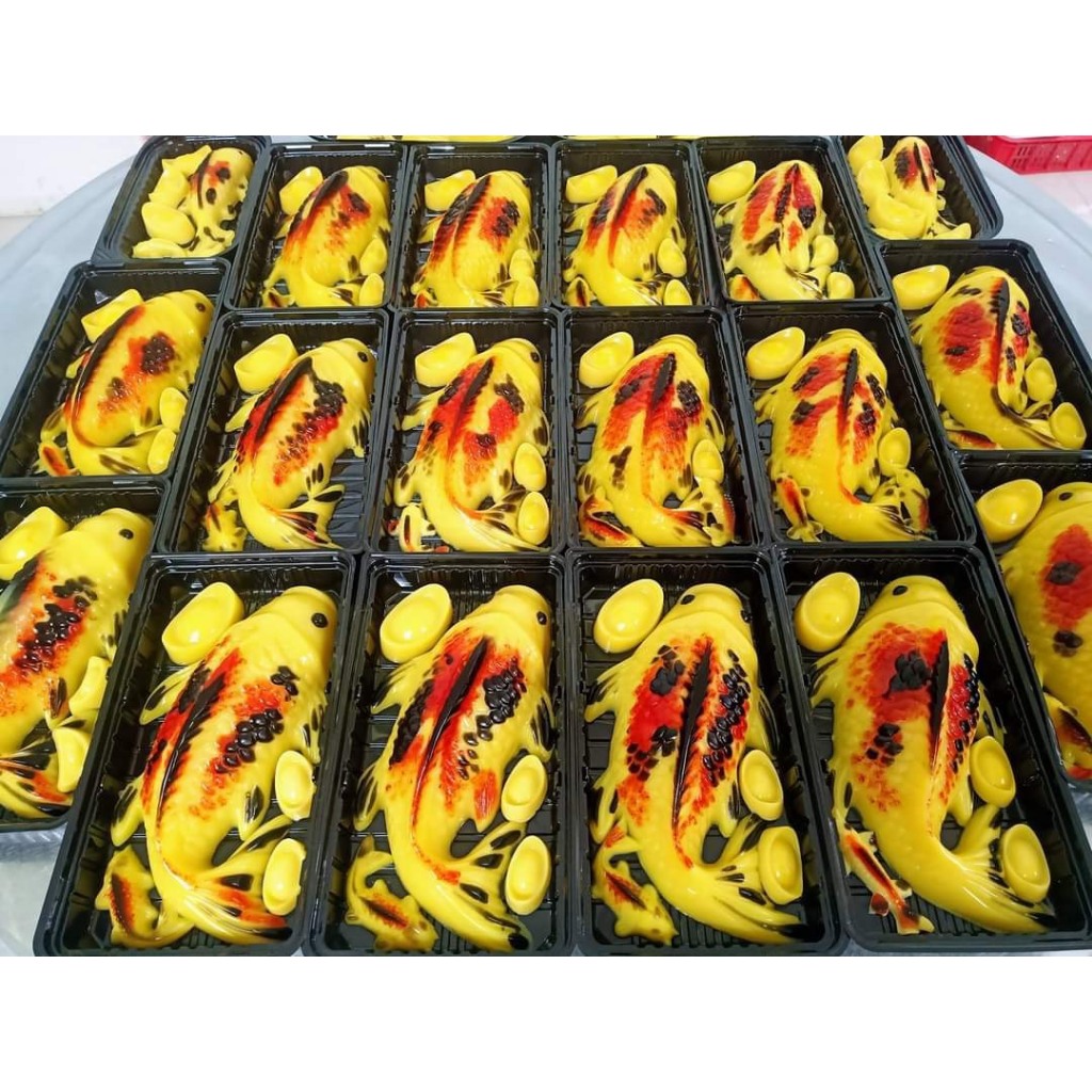 Combo 10 hộp đựng cá chép đế đen nắp trong cao không đụng vây.