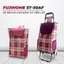 Xe kéo đi chợ siêu thị ST-30AF gấp gọn Fujihome, Giỏ đựng đồ túi vải oxford thời trang chống nước khung thép chịu lực