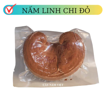 Nấm linh chi đỏ Việt Nam nguyên bào tử dễ uống - Cây Nấm Việt