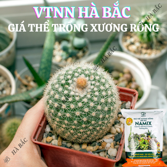 Giá Thể Xương Rồng và Sen Đá Namix - Tơi xốp, Thoáng khí, Giúp rễ phát triển mạnh và cây khỏe mạnh (5dm3)