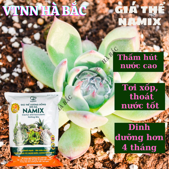 Giá Thể Xương Rồng và Sen Đá Namix - Tơi xốp, Thoáng khí, Giúp rễ phát triển mạnh và cây khỏe mạnh (5dm3)