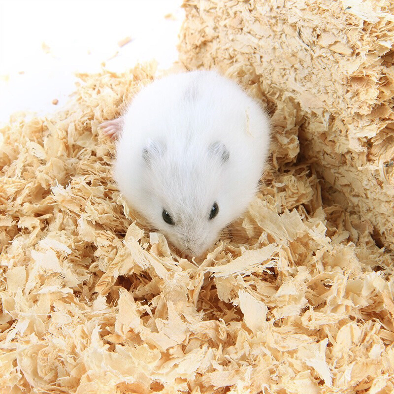 [Siêu Rẻ] Mùn Cưa Gỗ Thông Thơm 1kg Lót Chuồng Hamster, Thỏ, Chinchilla, Nhím, Bò Sát - TC Home
