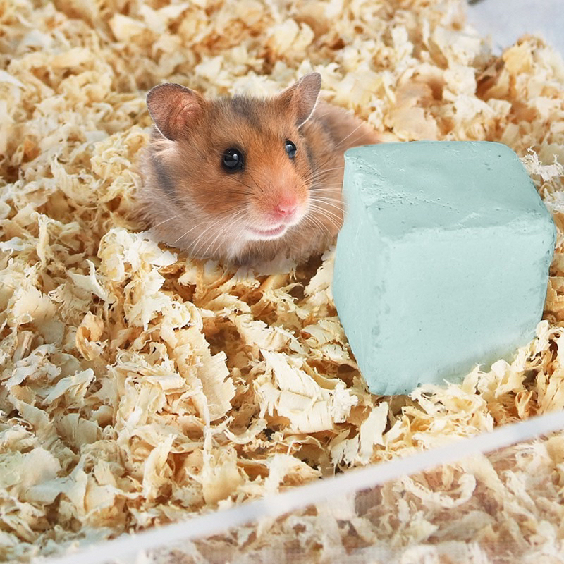 [Siêu Rẻ] Mùn Cưa Gỗ Thông Thơm 1kg Lót Chuồng Hamster, Thỏ, Chinchilla, Nhím, Bò Sát - TC Home