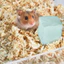 Mùn Cưa Gỗ Thông Thơm 1kg Lót Chuồng Hamster, Thỏ, Chinchilla, Nhím, Bò Sát - TC Home