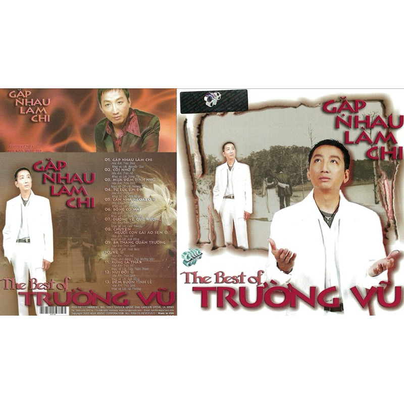 Băng Cassette Gặp Nhau Làm Chi - Trường Vũ